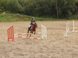 img_9637_web